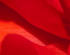 c0041