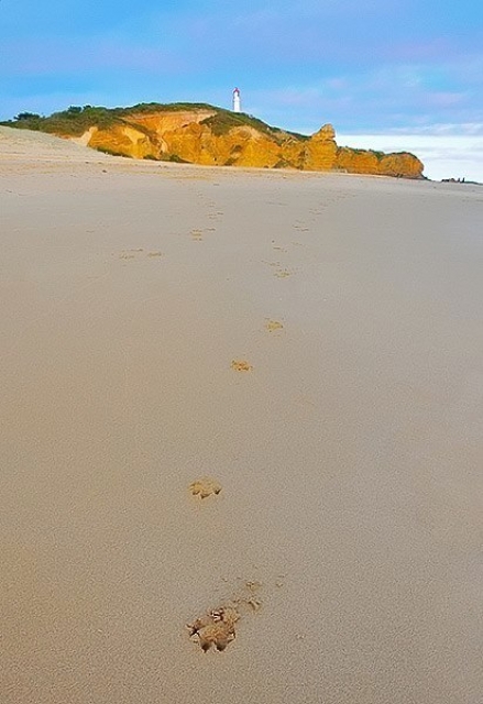 o0004-Airey's Inlet Lighthouse